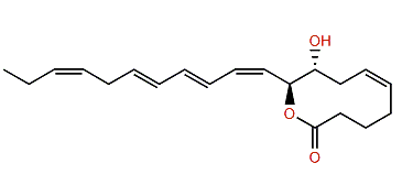 Didemnilactone A